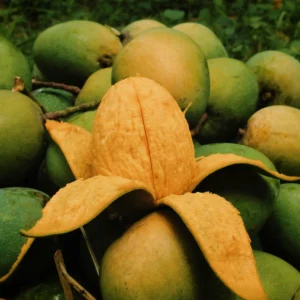 হিমসাগর আম (আমের রাজা)