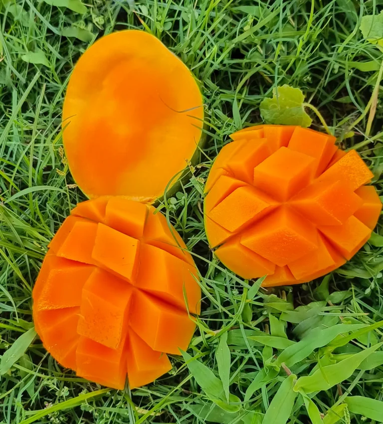ফ্রেশ গোবিন্দভোগ আম